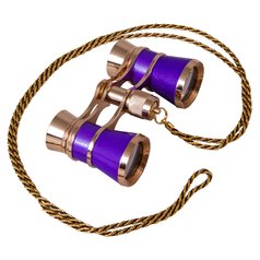 Levenhuk Broadway 325C Amethyst