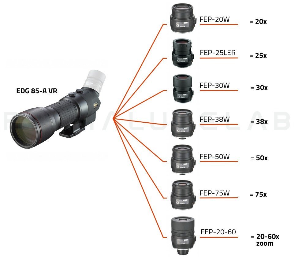 nikon edg 85